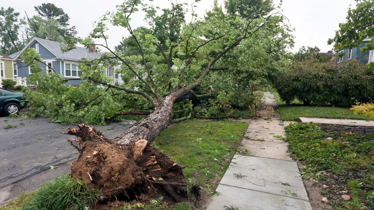 Tormenta en Estados Unidos deja al menos dos muertos y más de un millón